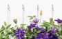 Afbeelding - https-www-ez-catalog-nl-Asset-89998ec61d6f4871a8f02eb5c917ffbb-ImageFullSize-w1-a-i-04-224-geruest-rankgitter-sall-aqq-v1-jpg